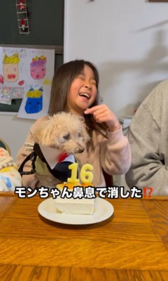 モンくんのお誕生日会3