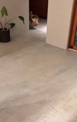 帰宅に気づいた長三郎くん