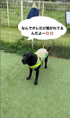 勘違いして怒るカノアくん