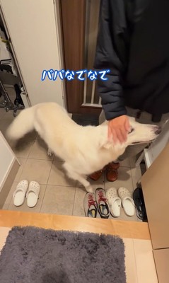 パパが隠れた時のれお君9