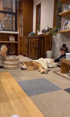 たお君を寝かしつける女の子9