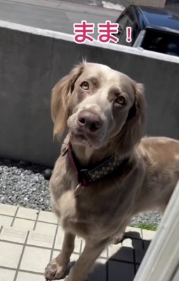 「こっちきてー!!」