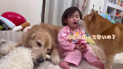 催促するうにくん