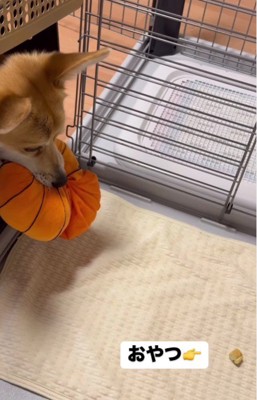 取引には応じない