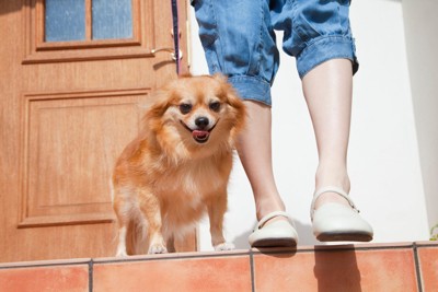 散歩、玄関を出る