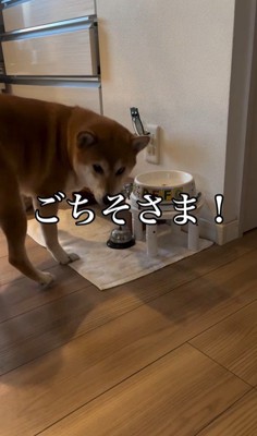 お姉ちゃん帰宅時のけいちゃん9