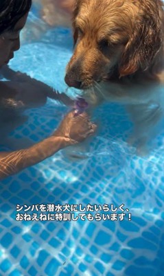 2人の女の子とシンバくんの夏休み7