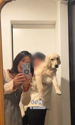 小町ちゃんの成長記録4