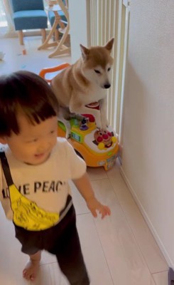 置き去りのこたろうくん…