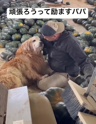 「もう頑張れない…」