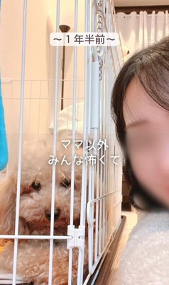 すいーぶ君の変化2