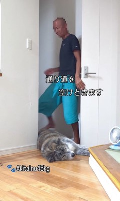 トイレに行きたいパパさんVS虎男くん8