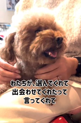 嬉しそうな犬