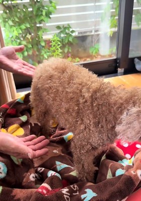 16歳のレッドちゃん