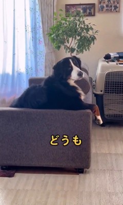 リンちゃんに声をかけたら…5