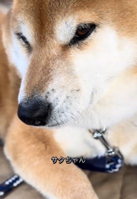 ご不満顔のまま