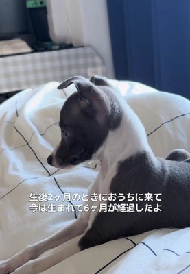 スクスク成長！！