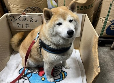 「ふくまるの別荘」
