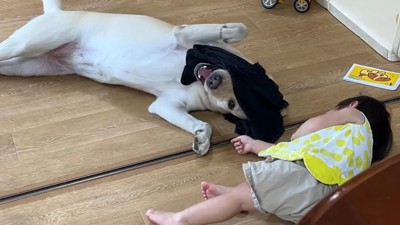 とっても楽しそう♪