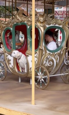 体が半分外に…