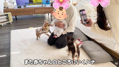 ハナちゃんと赤ちゃんたちの交流4