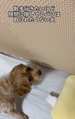 パンをとられたくないちくわちゃん