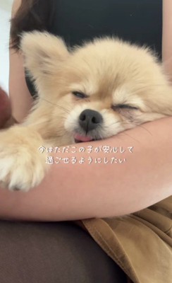 リラックスした姿に涙…