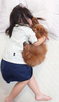 一緒に眠る犬と子ども