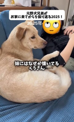 妹さんと仲良し♪