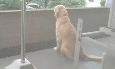物思いにふけることも…