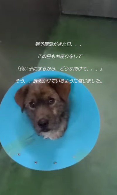 期限までもう少し…