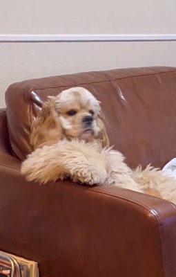 視線に気づいたハムちゃん