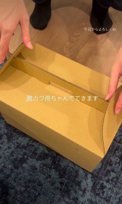 雨ちゃんが家族になった日