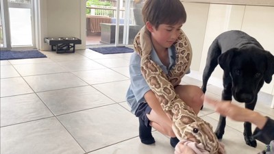 怒られる人形を見たえんぞう君の反応5