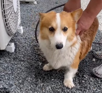 初めての水浴び