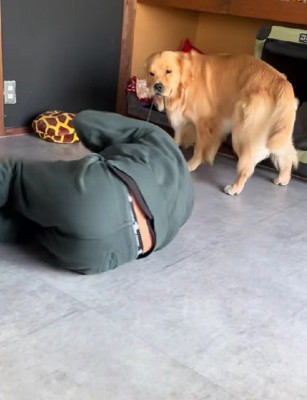 やんちゃなベスちゃん