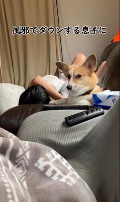 体調不良の男の子に付き添うチリちゃん