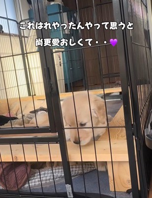 愛おしい姿にホッコリ