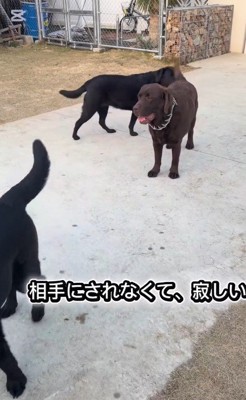 「あれ…？」