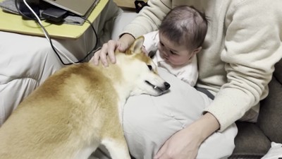 「やっと甘えられた…」