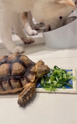 モグモグ…♪
