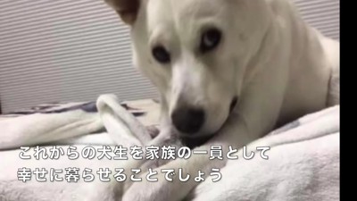 きっと幸せになれる