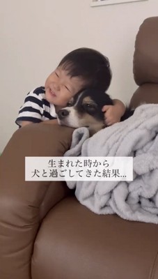 犬に顔を寄せて笑顔を見せる子ども