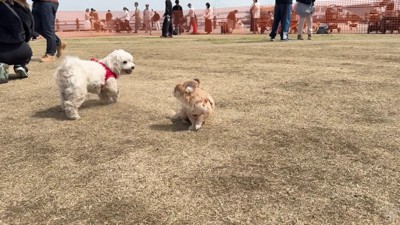 何も言い返しません