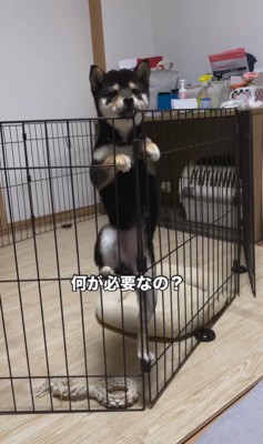 千幸ちゃんとご家族の1年間2