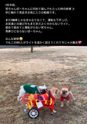 車椅子のライトくんとお友達