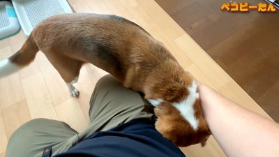 やはり寂しかったようです♡