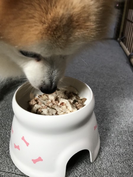 ポッキー画像