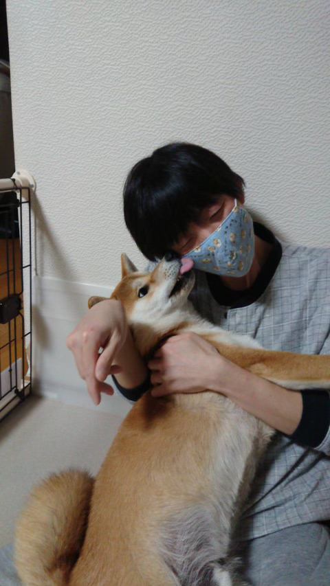 ふく画像