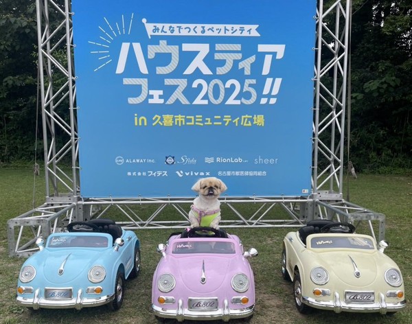 ネネ画像